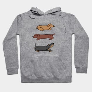 Three Dachshunds Hoodie